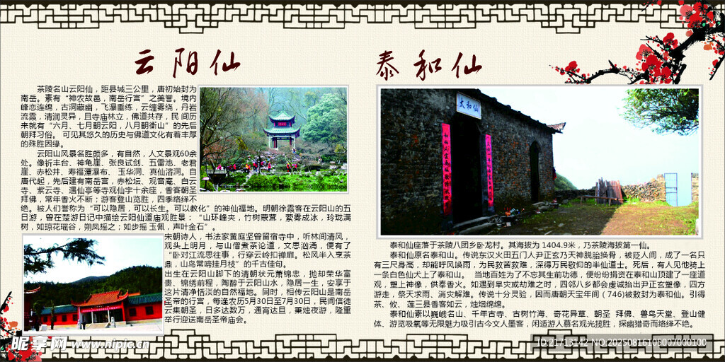 云阳仙