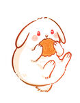 兔子