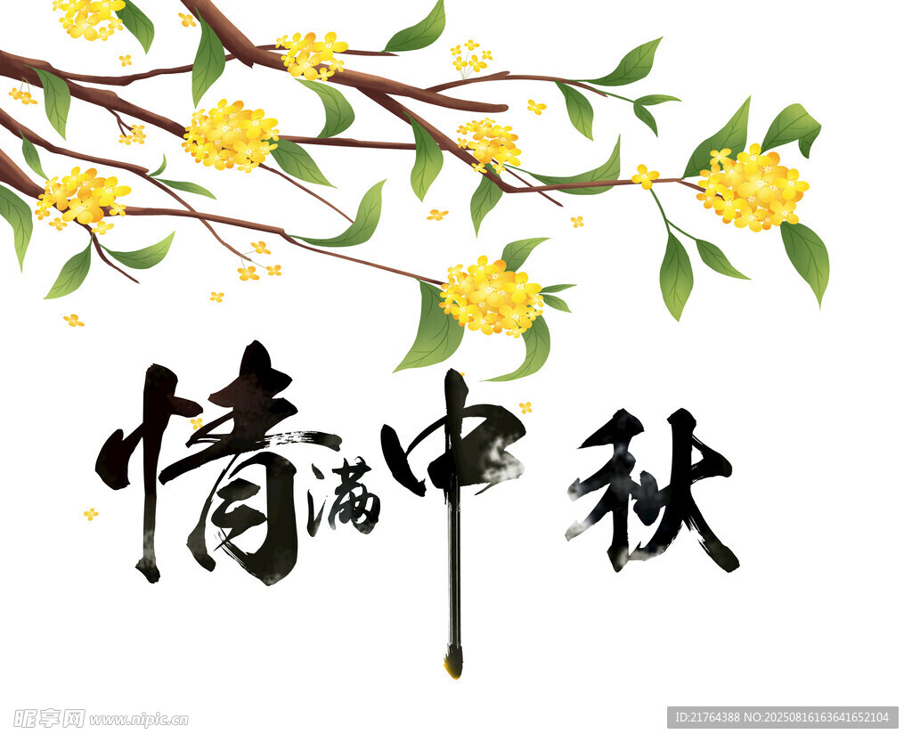 情满中秋