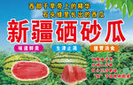 新疆硒砂瓜