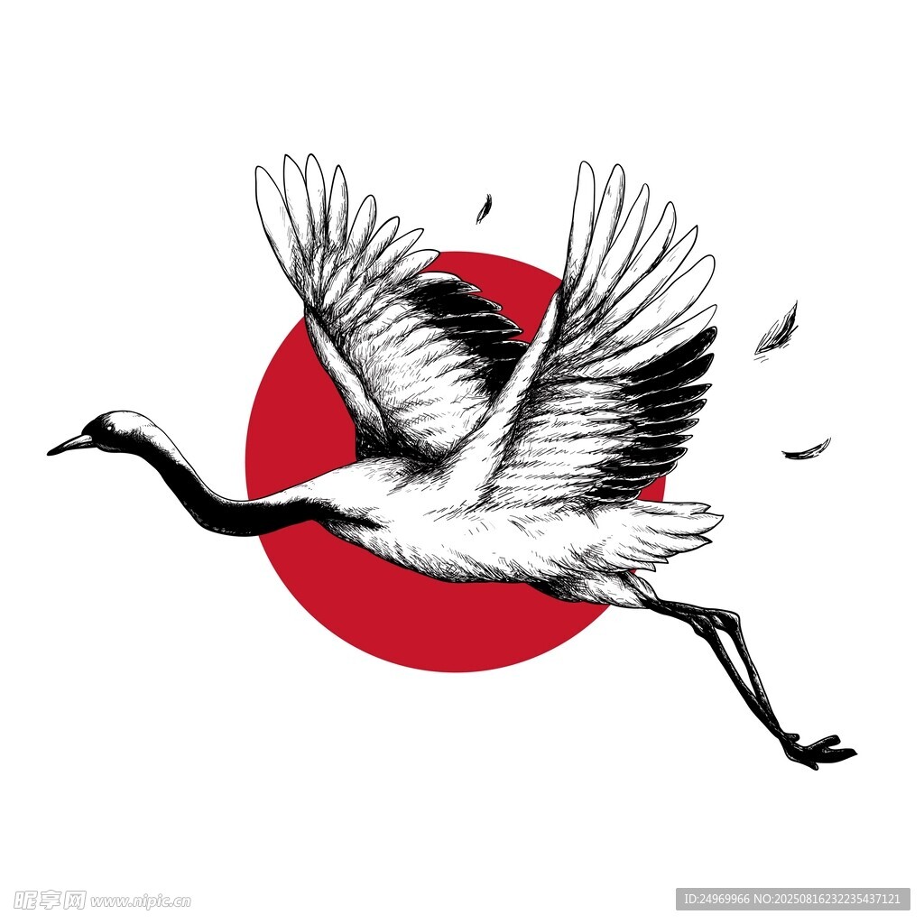展翅丹顶鹤