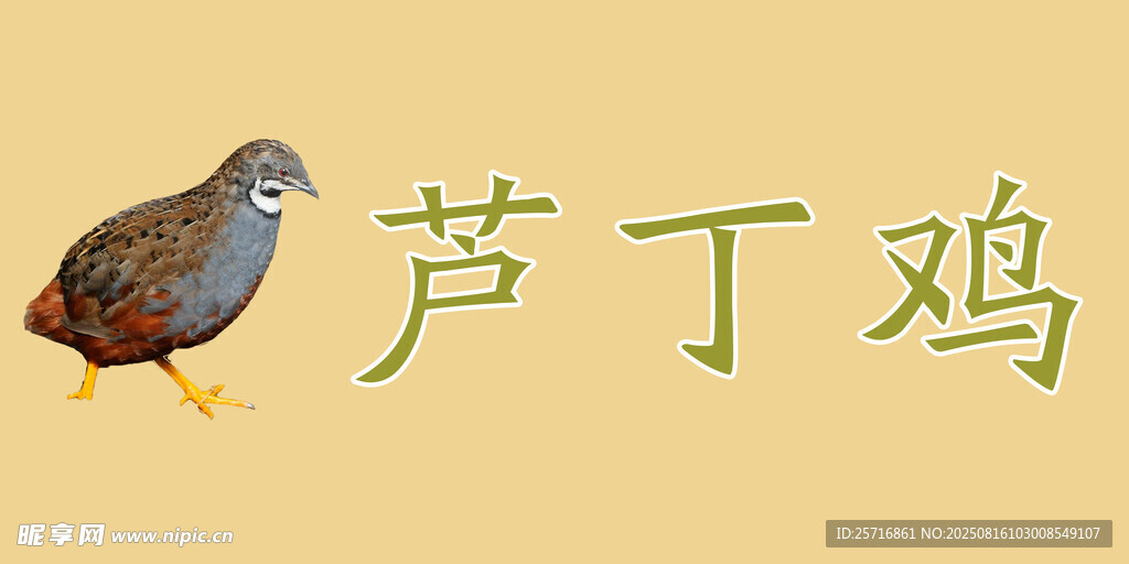 芦丁鸡名牌