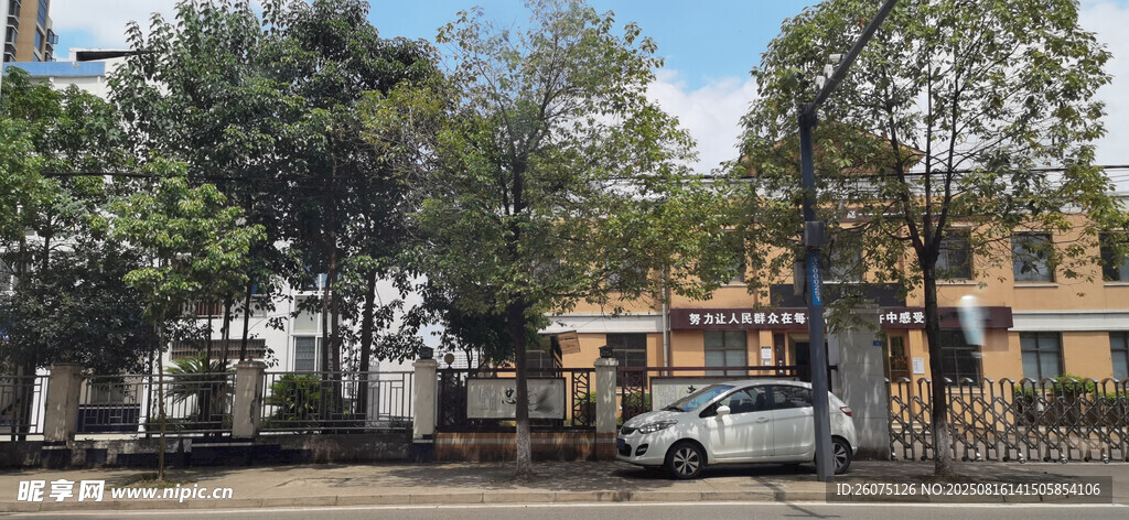 街道旁绿树掩映的建筑物