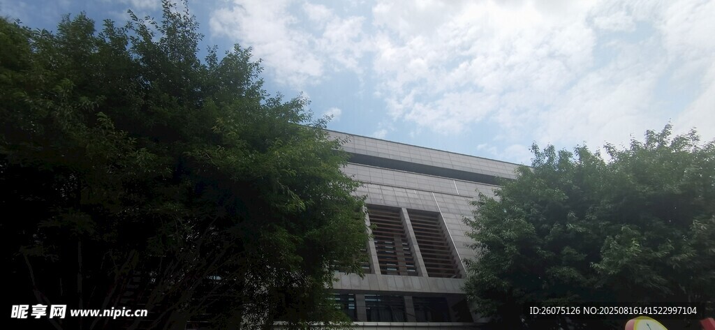 绿树掩映下的建筑物