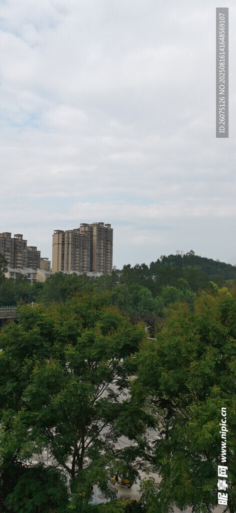 绿树掩映下的城市高楼