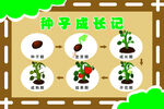 种子成熟记