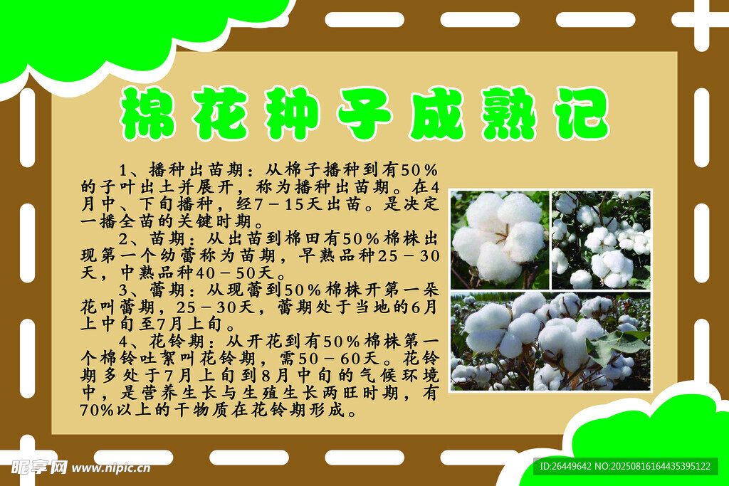 种子成熟记