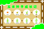 种子成长记