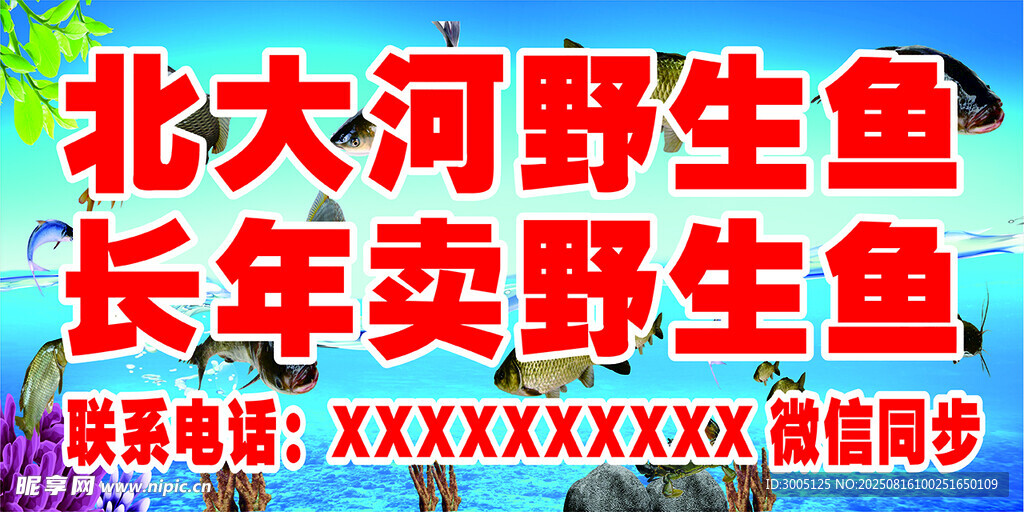 北大河野生鱼常年售卖