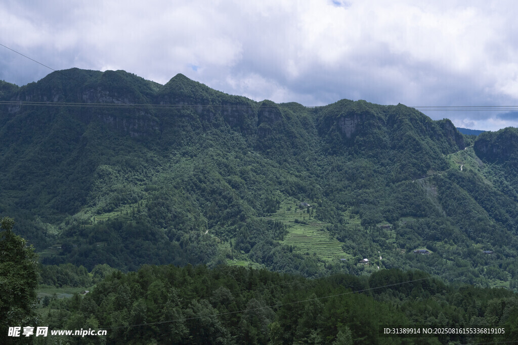 翠绿山峦云雾缭绕美景