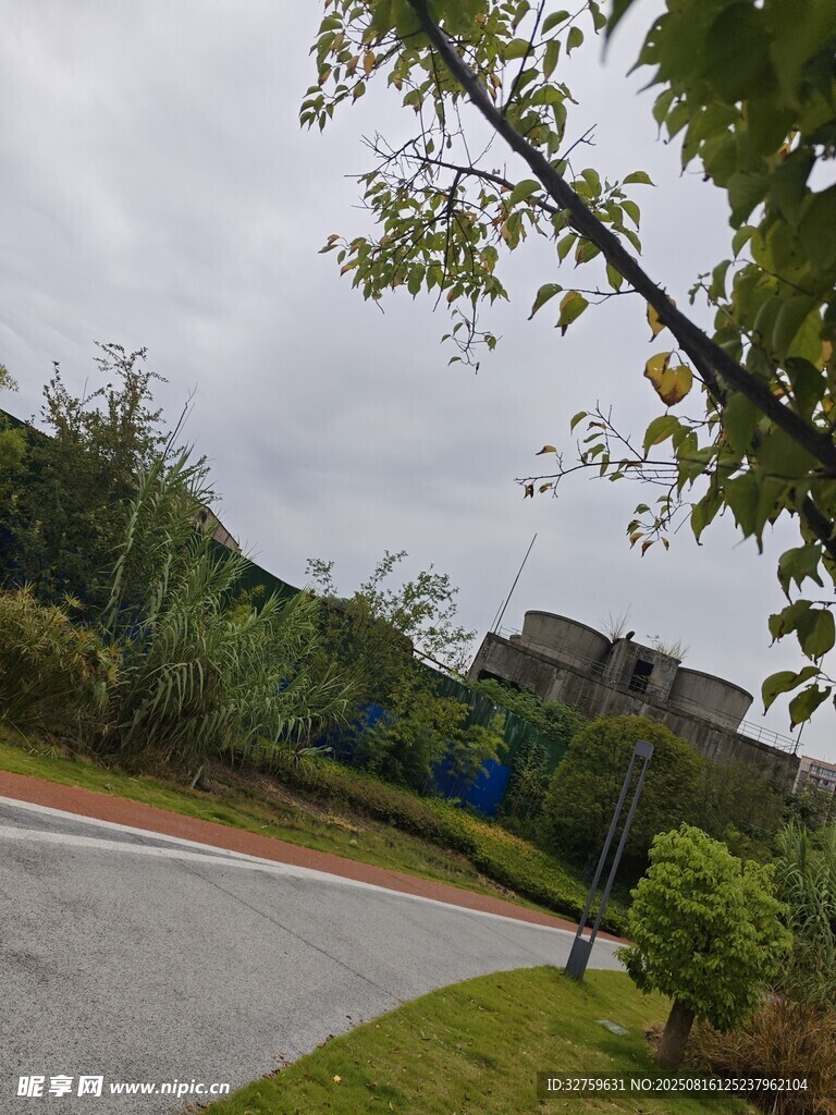雨后清新的户外园林景致