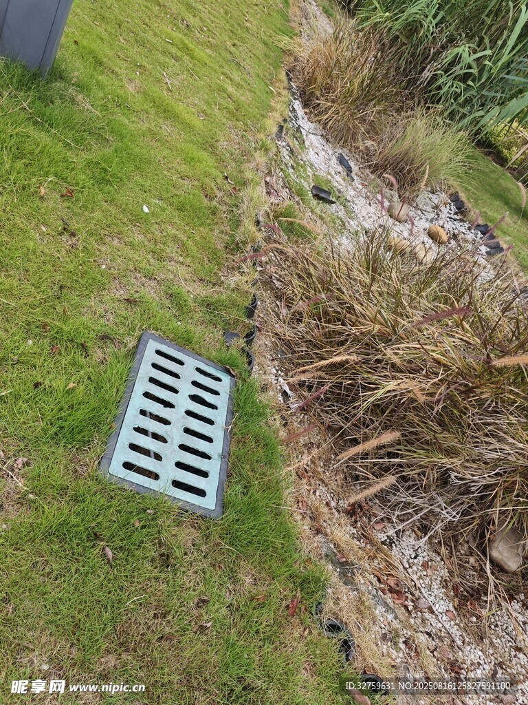 草地旁的金属排水格栅