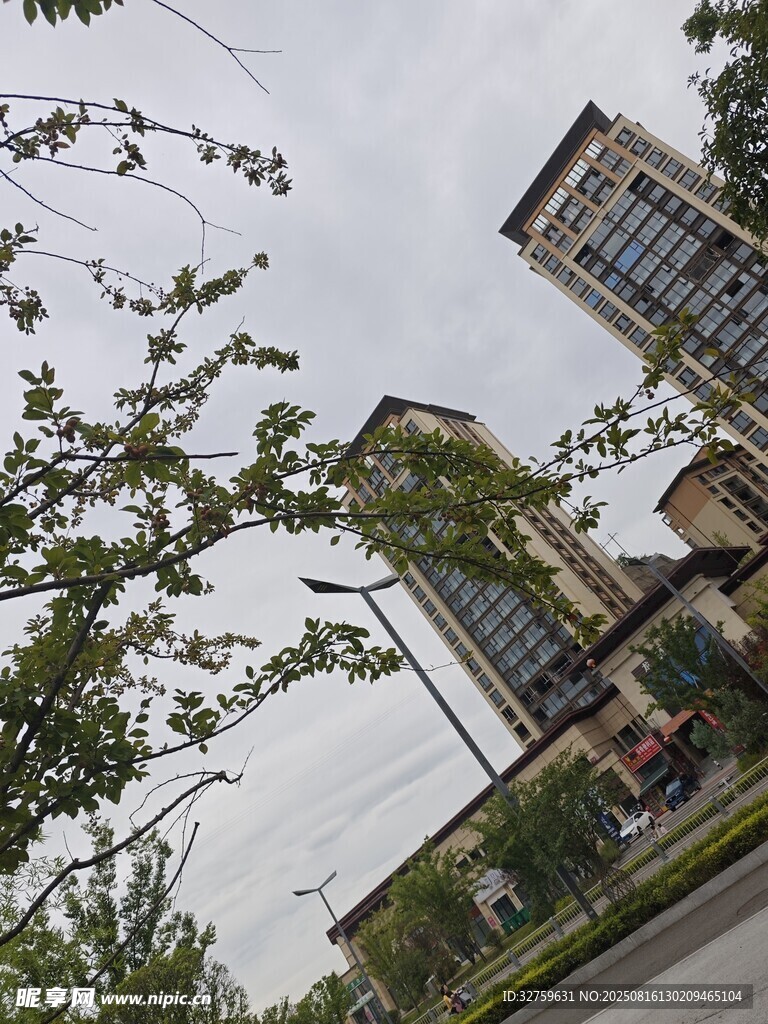城市中高楼与绿树景观