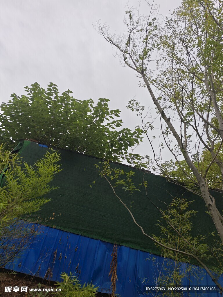 屋顶绿植与蓝色遮盖物