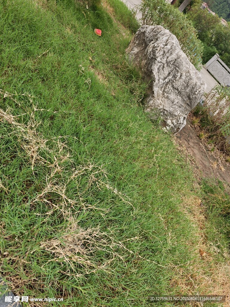 草地旁的一块灰色石头