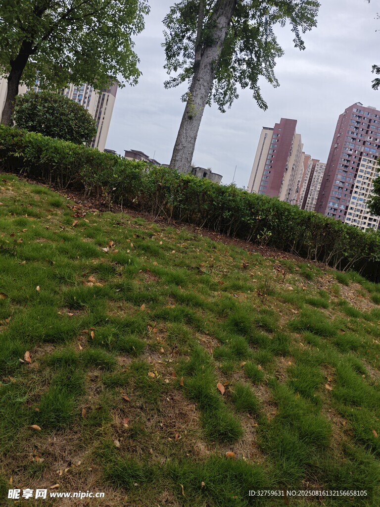 城市绿地景观