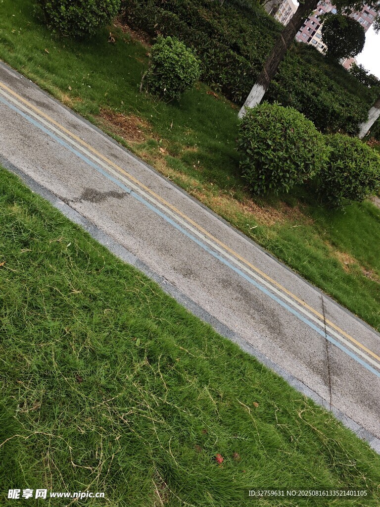 户外绿植环绕的整洁道路