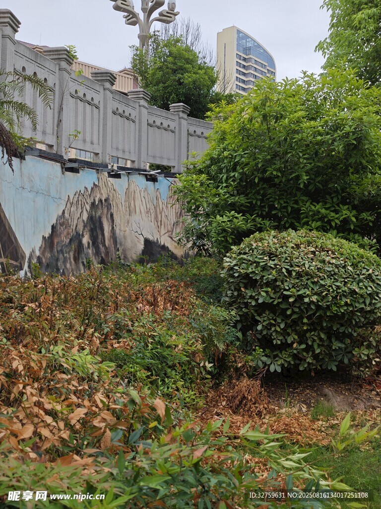 园林石桥边的绿植景致