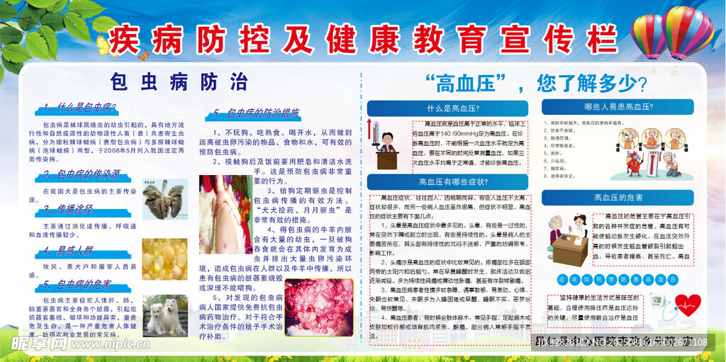 慢性病宣传栏  包虫  高血压