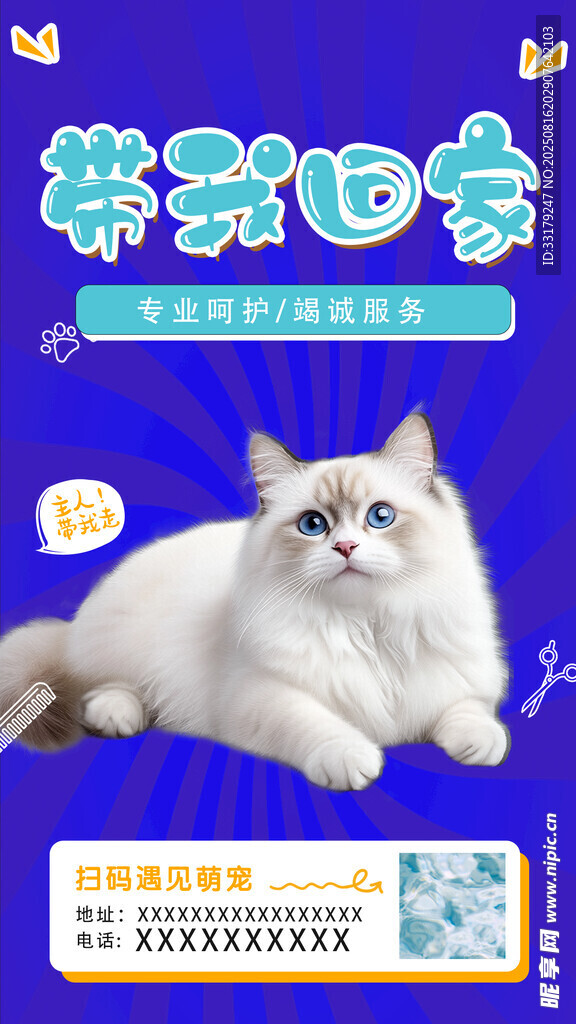 萌宠布偶猫 新宠生活