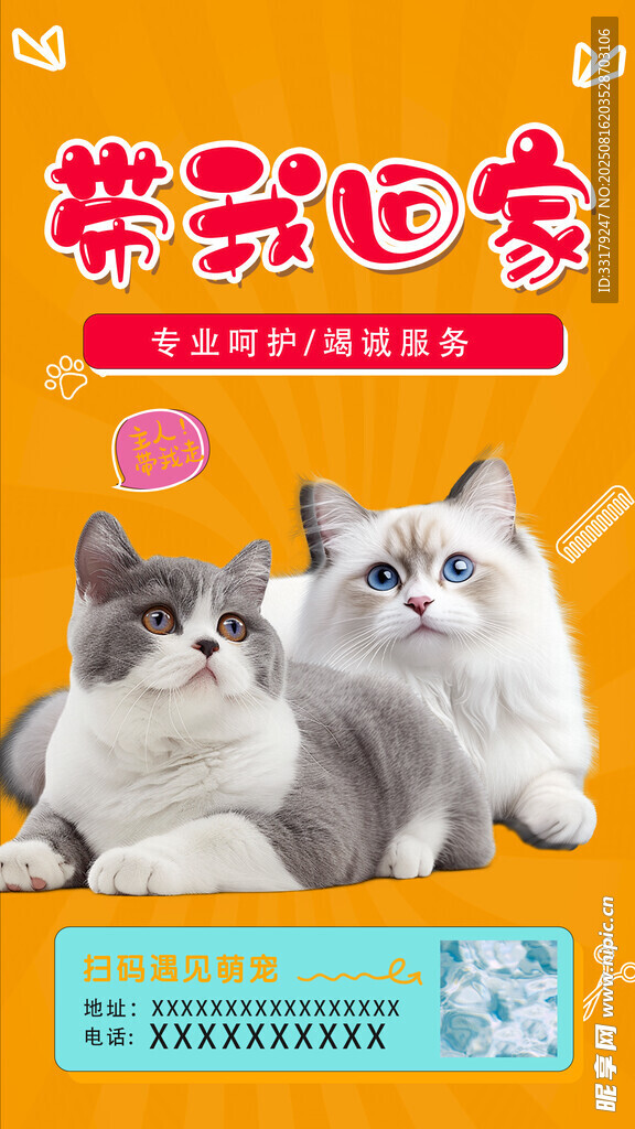 可爱猫咪展示