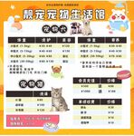 宠物店海报