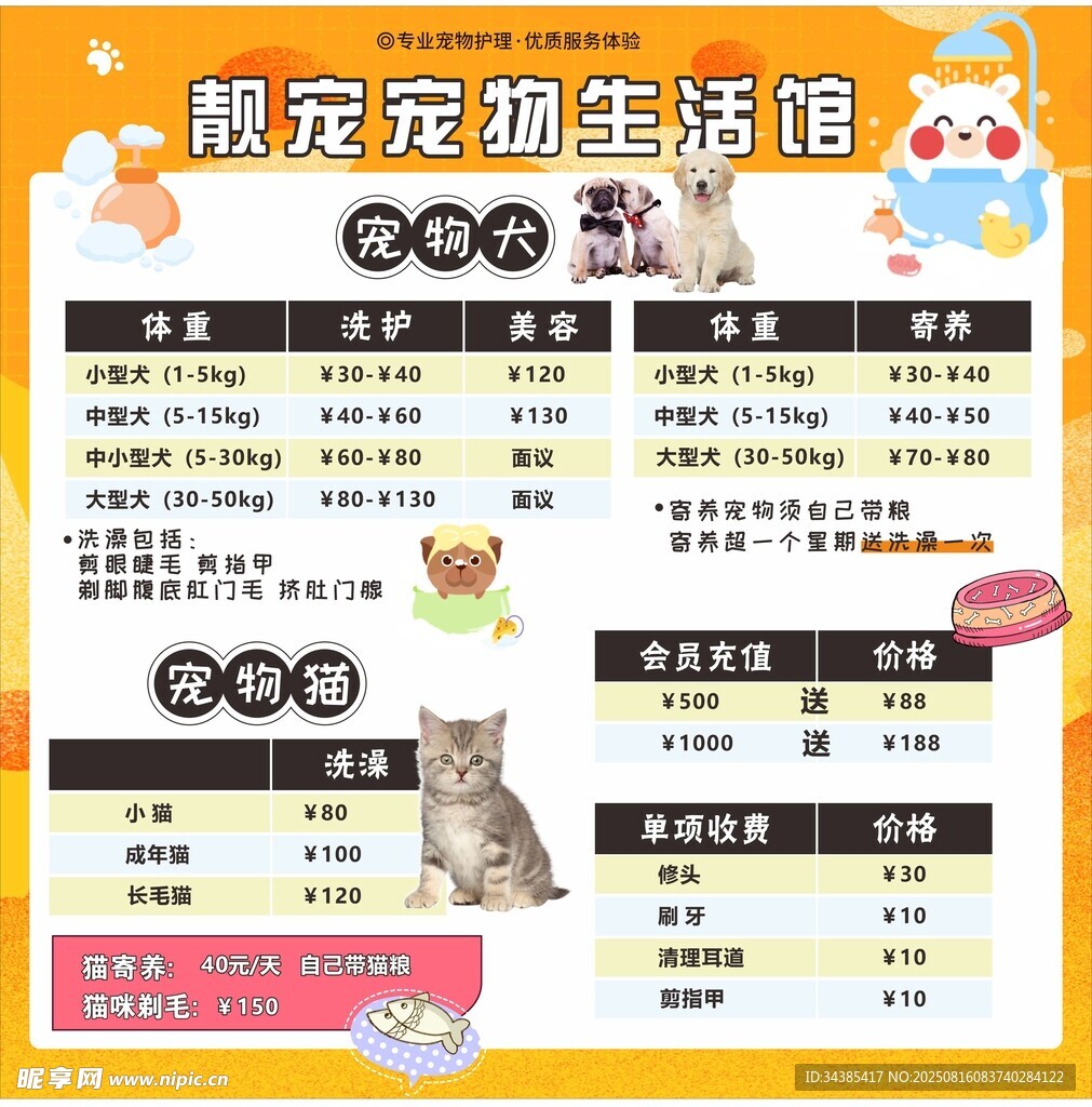 宠物店海报