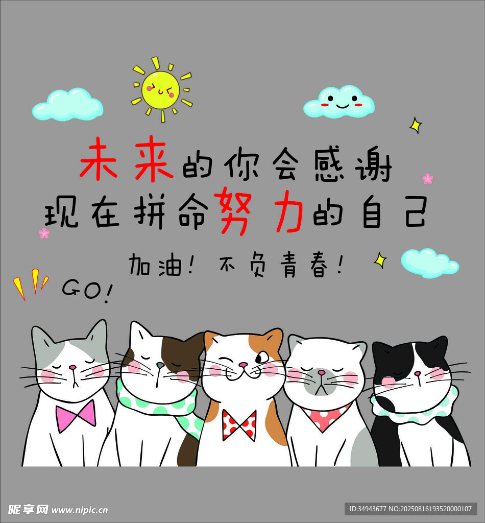 励志猫咪  拼搏成就未来