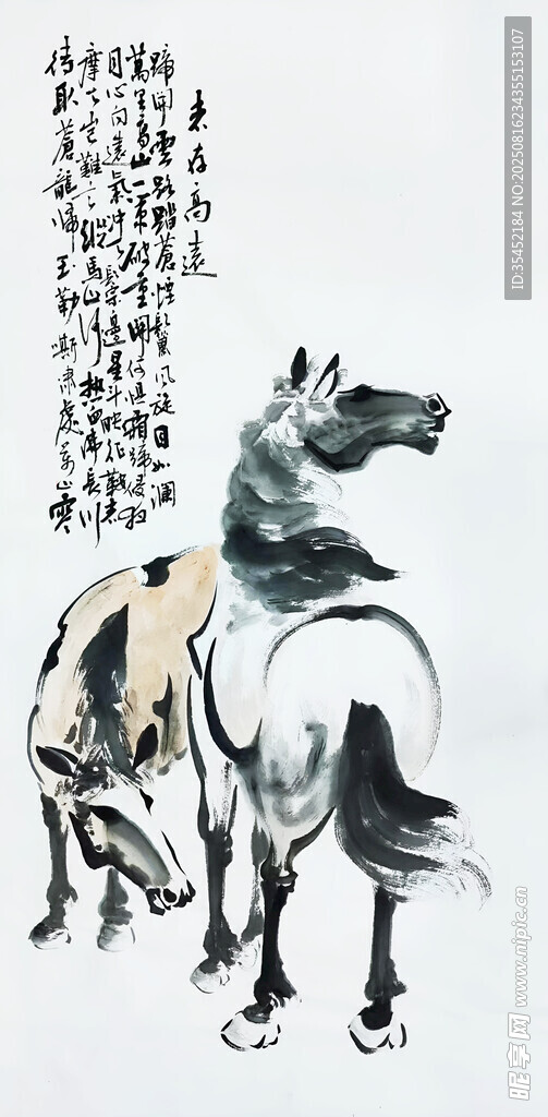 双马图