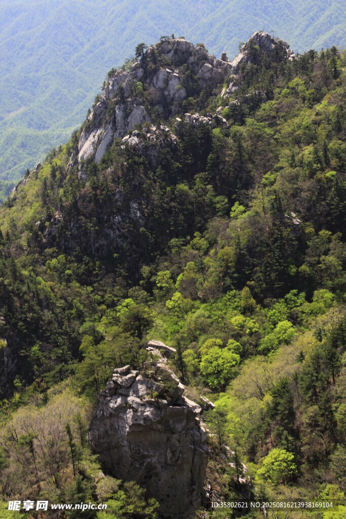 山峦绿意