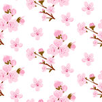 粉色樱花图案