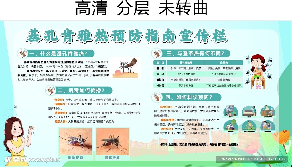 基孔肯雅热 登革热  宣传栏