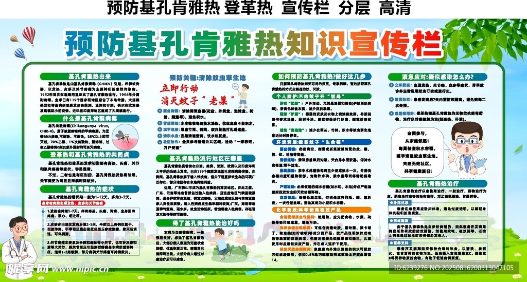 预防基孔肯雅热 登革热  宣传