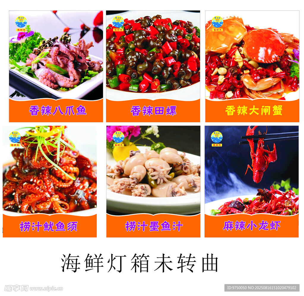 多样美味海鲜菜品展示