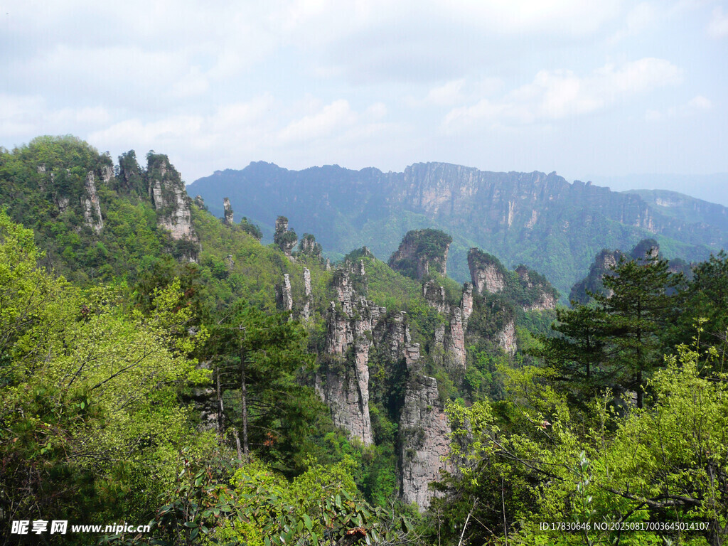 奇峰林立的秀丽山林景观