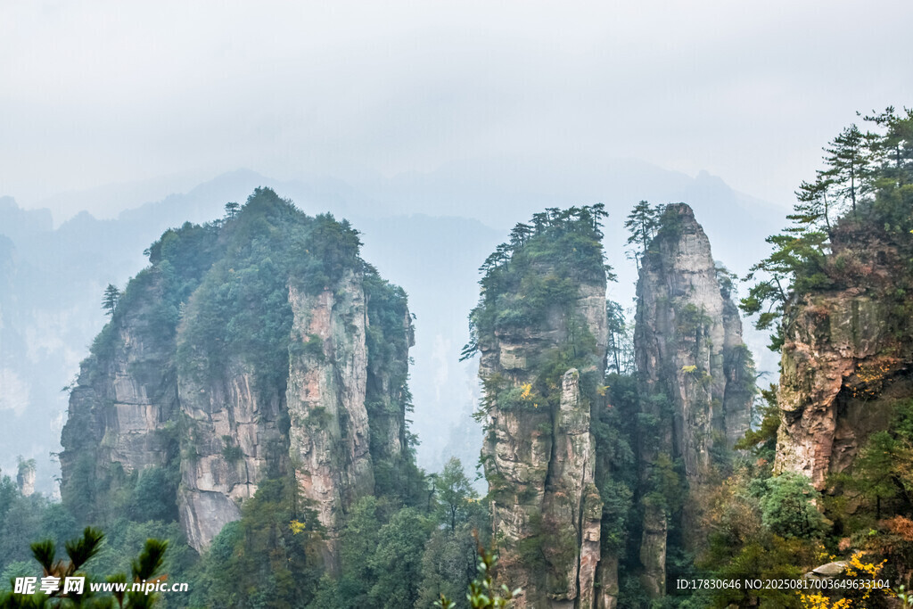 张家界奇峰异石景观