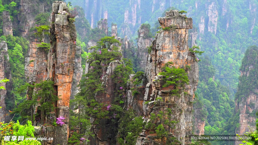 张家界奇峰景观