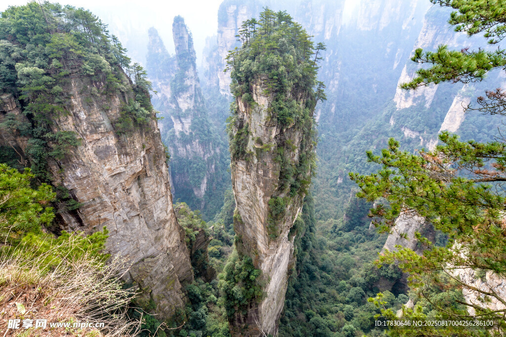 张家界奇峰美景