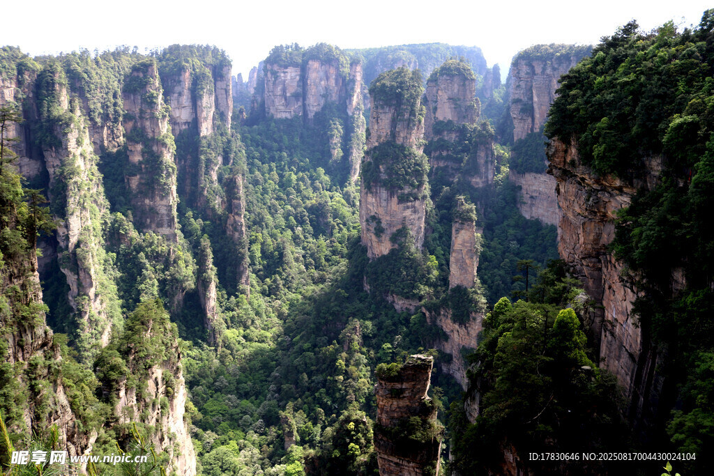 张家界奇峰峻岭美景