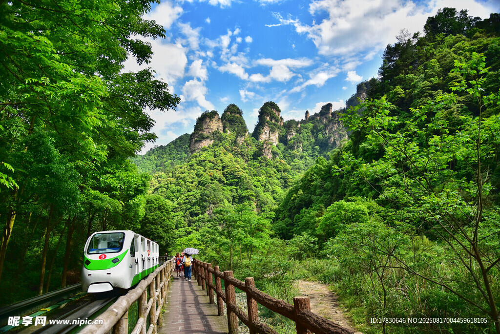 山间列车穿行于葱郁美景