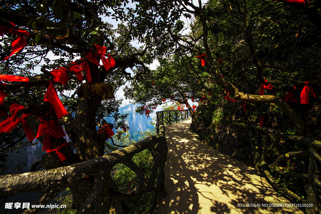 山间祈福处挂满红色祈愿牌
