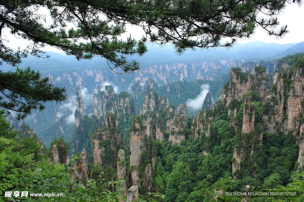 张家界奇峰美景