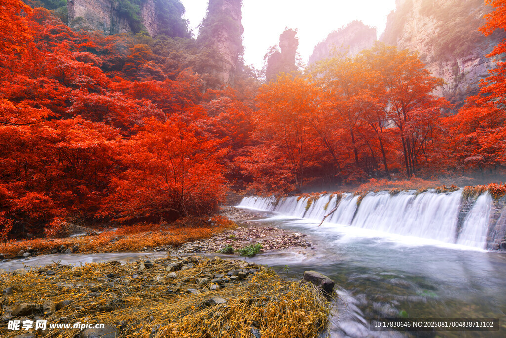 秋日山林瀑布美景
