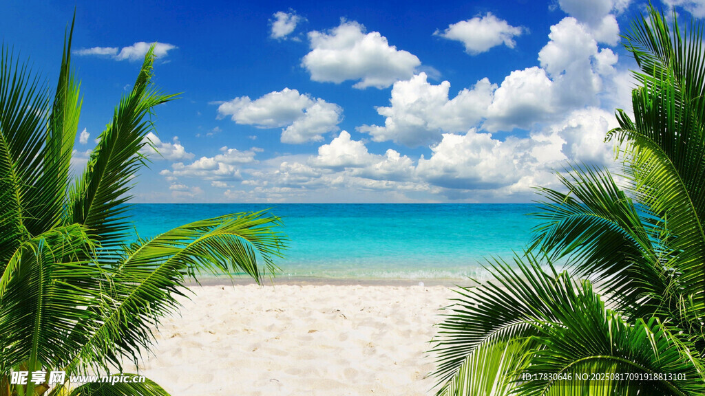 大海