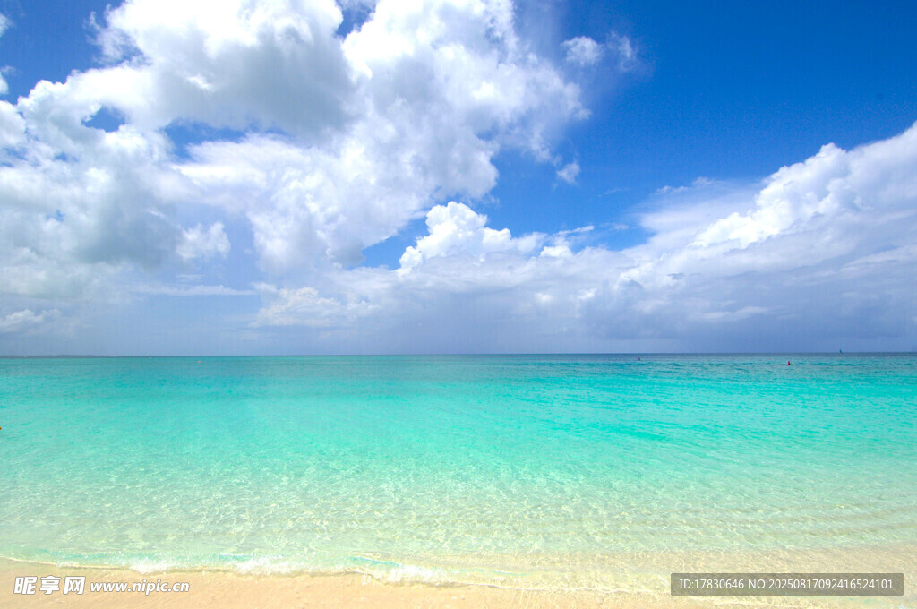 美丽海滨风光