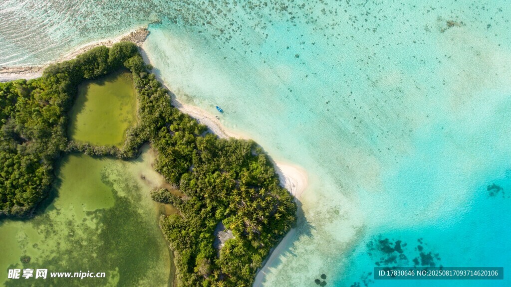 大海