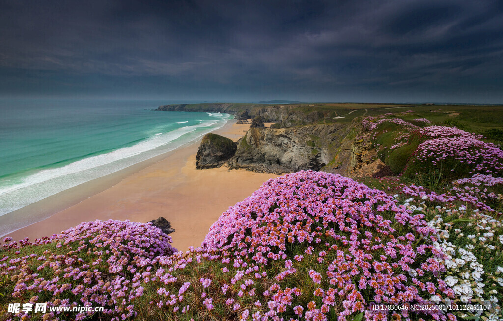 海岸繁花美景