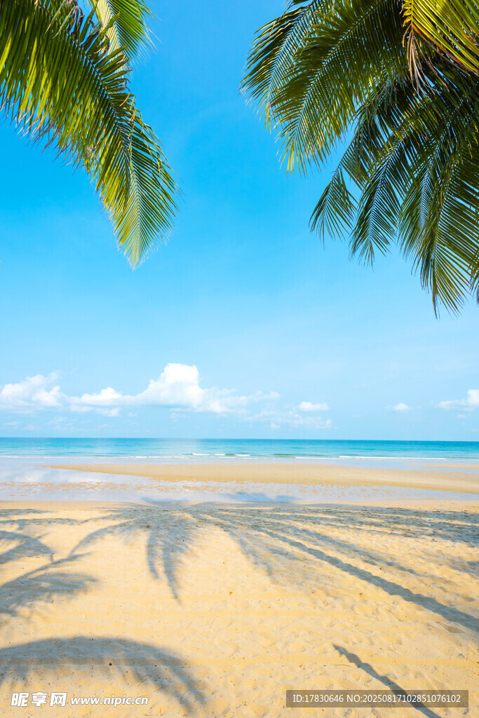 热带海滩美景