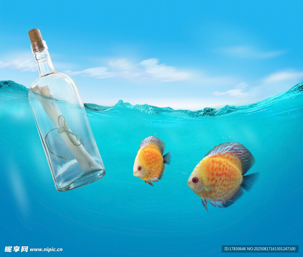 海中游鱼与漂流瓶
