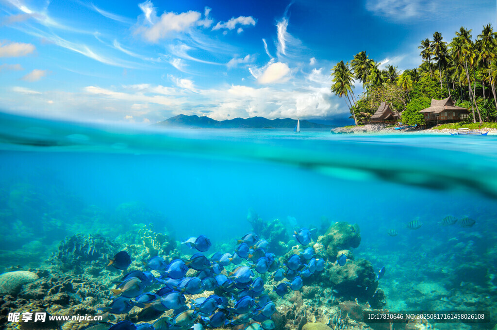 海底与海岛的梦幻景致